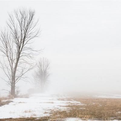 乐虎国际下载手机版截图